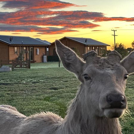 Deerbrooke Kaikoura Chalets - Chalet 2 Villa Екстериор снимка