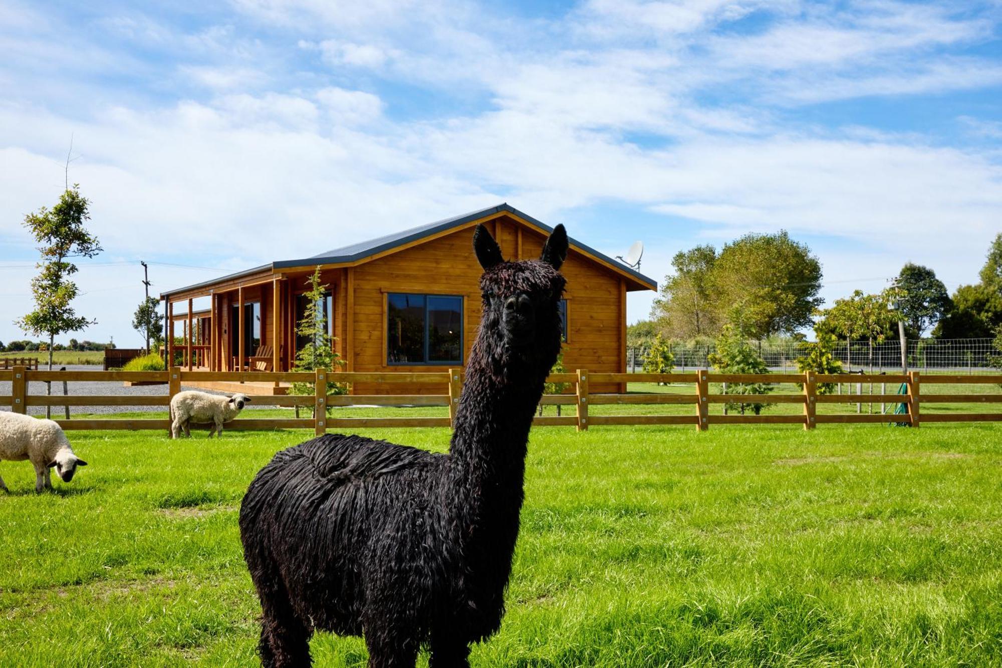 Deerbrooke Kaikoura Chalets - Chalet 2 Екстериор снимка