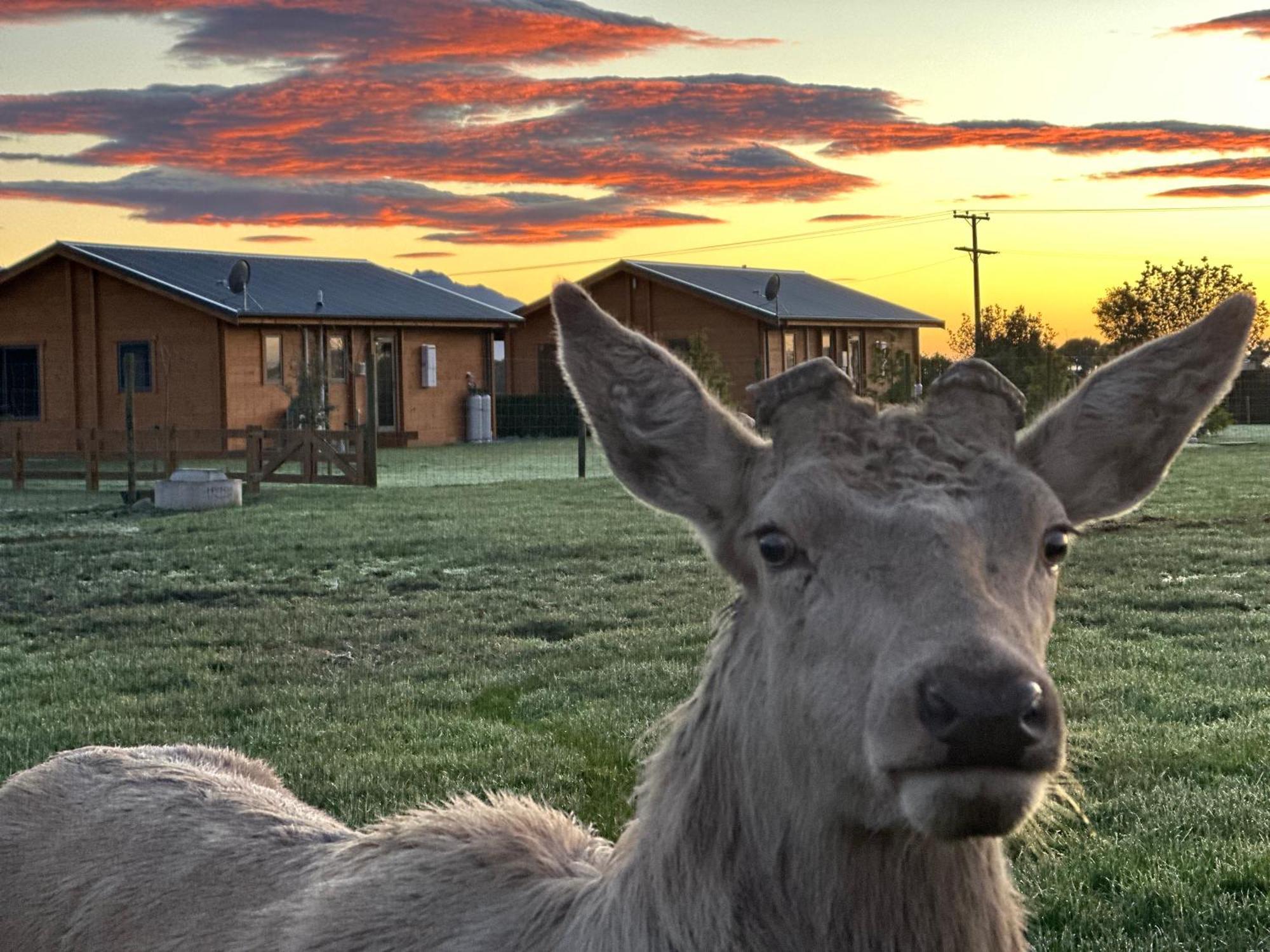 Deerbrooke Kaikoura Chalets - Chalet 2 Екстериор снимка
